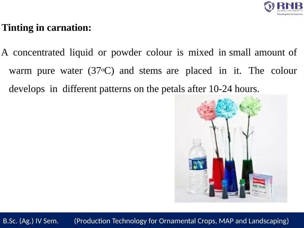Course Name- Production Technology for Ornamental - slide 25 of 27