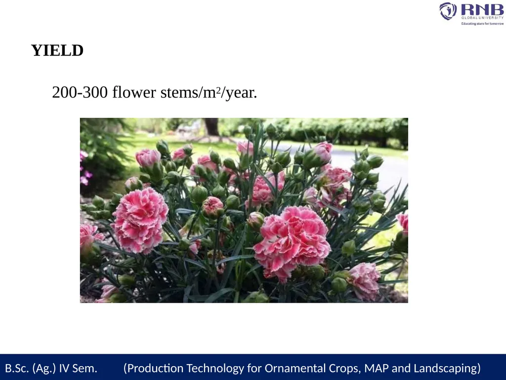 Course Name- Production Technology for Ornamental - slide 26 of 27