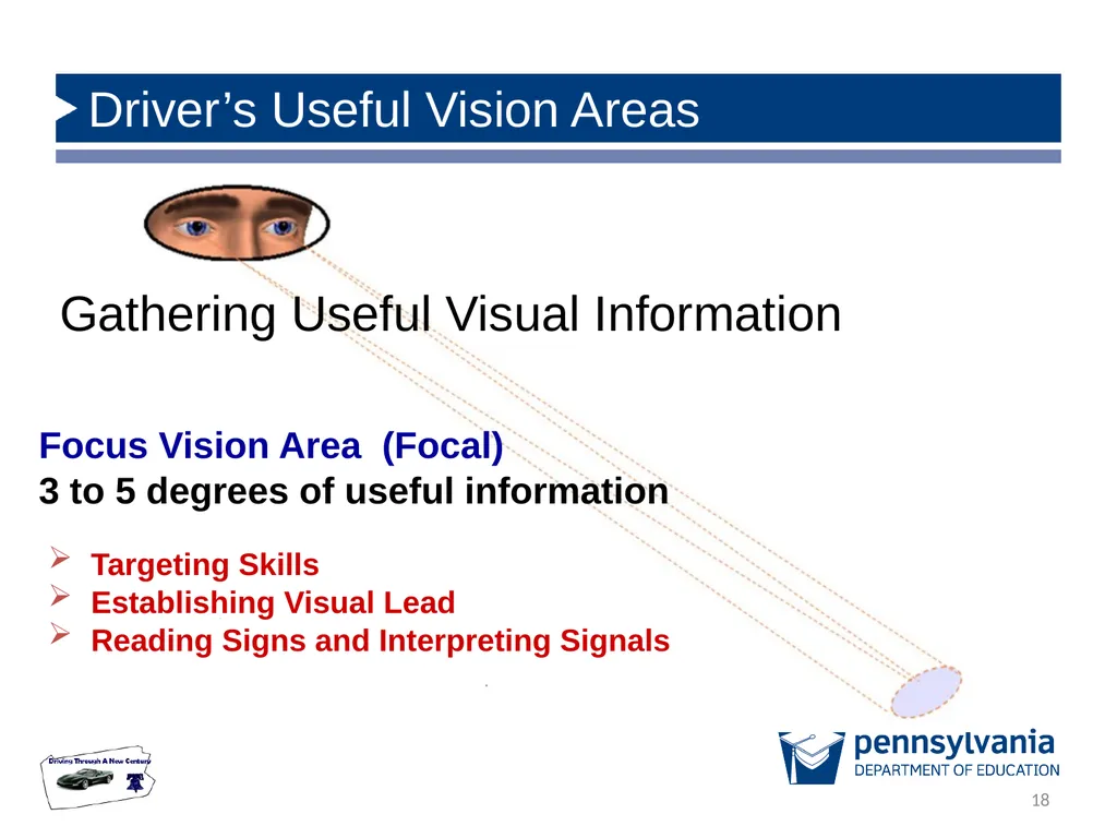 State Driver Responsibilities: Knowing Your - slide 18 of 38