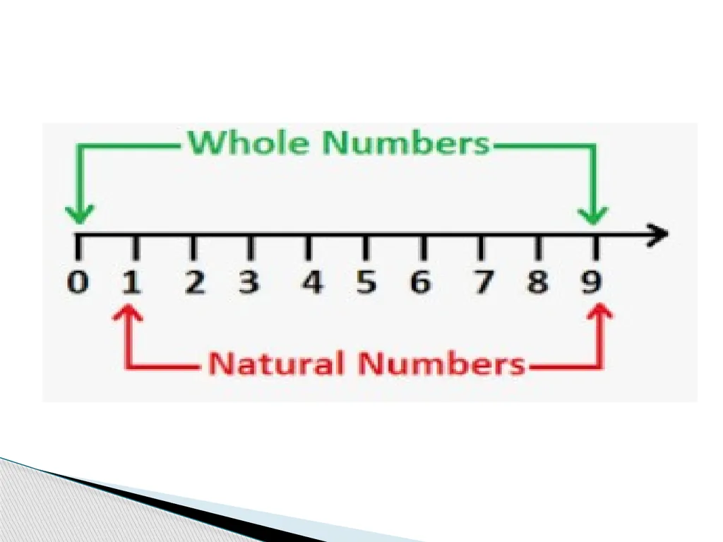 SAINIK SCHOOL GOPALGANJ SUBJECT-MATHEMATICS WHOLE - slide 6 of 7