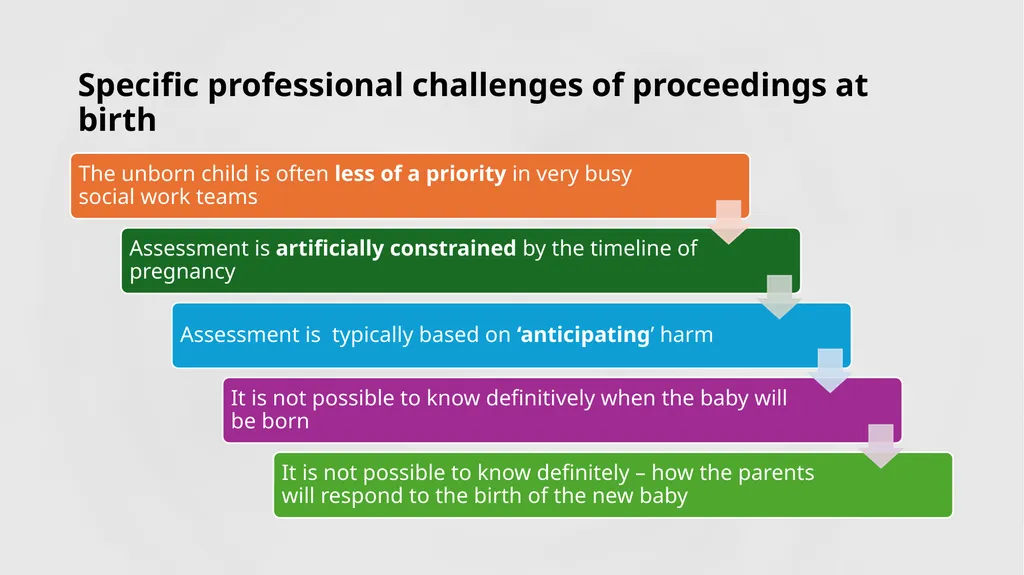 Professor Karen Broadhurst OBE Centre for Child - slide 9 of 15