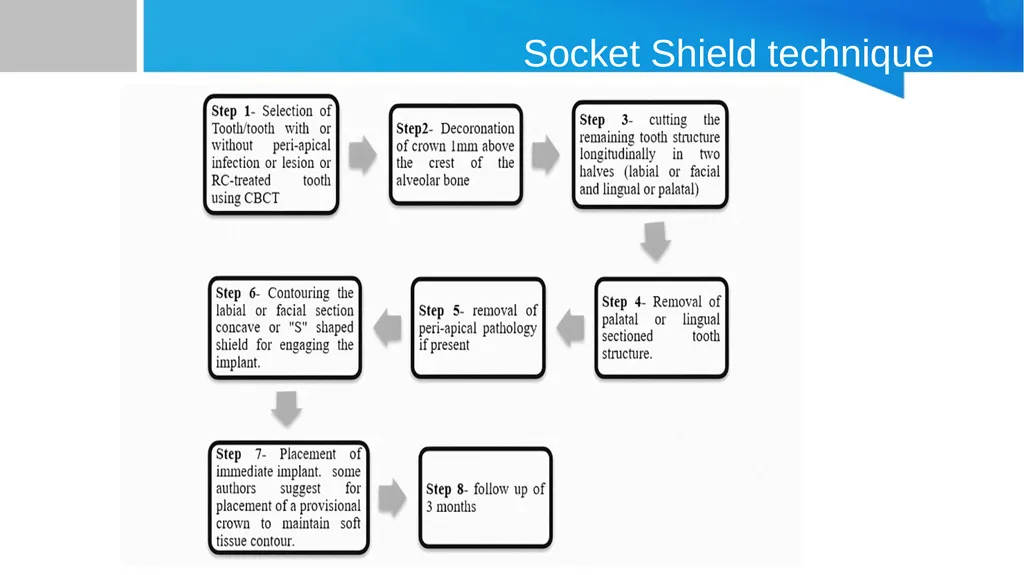 Partial Extraction Therapies (PET): Maintaining - slide 11 of 18