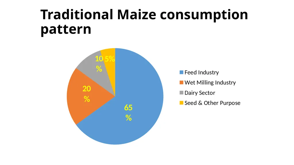Maize Production & Exports from Pakistan - slide 9 of 14
