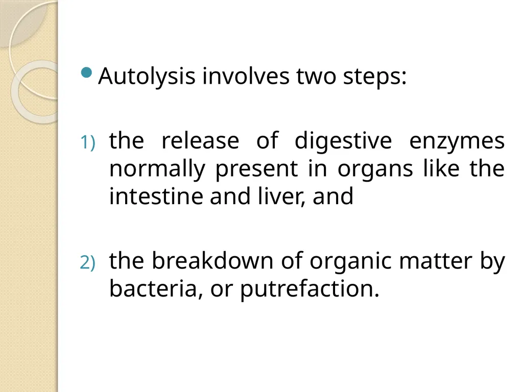 Fetal Mummification Dr. Bhavna Assistant Professor - slide 4 of 27