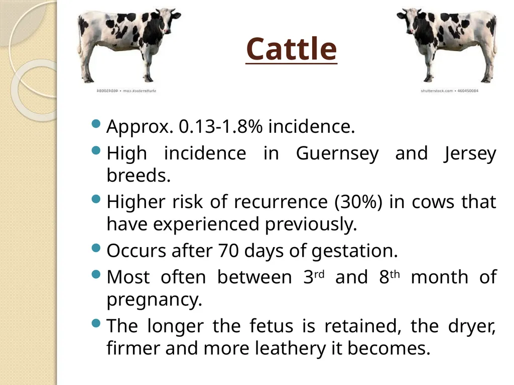 Fetal Mummification Dr. Bhavna Assistant Professor - slide 10 of 27