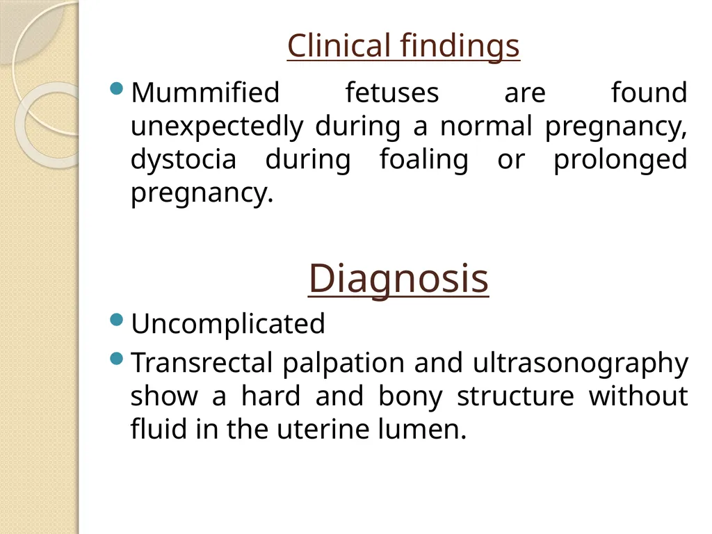 Fetal Mummification Dr. Bhavna Assistant Professor - slide 17 of 27