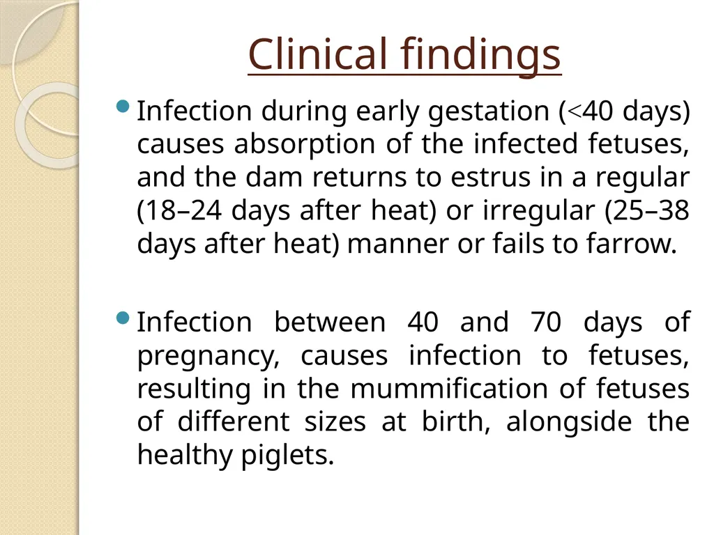 Fetal Mummification Dr. Bhavna Assistant Professor - slide 23 of 27