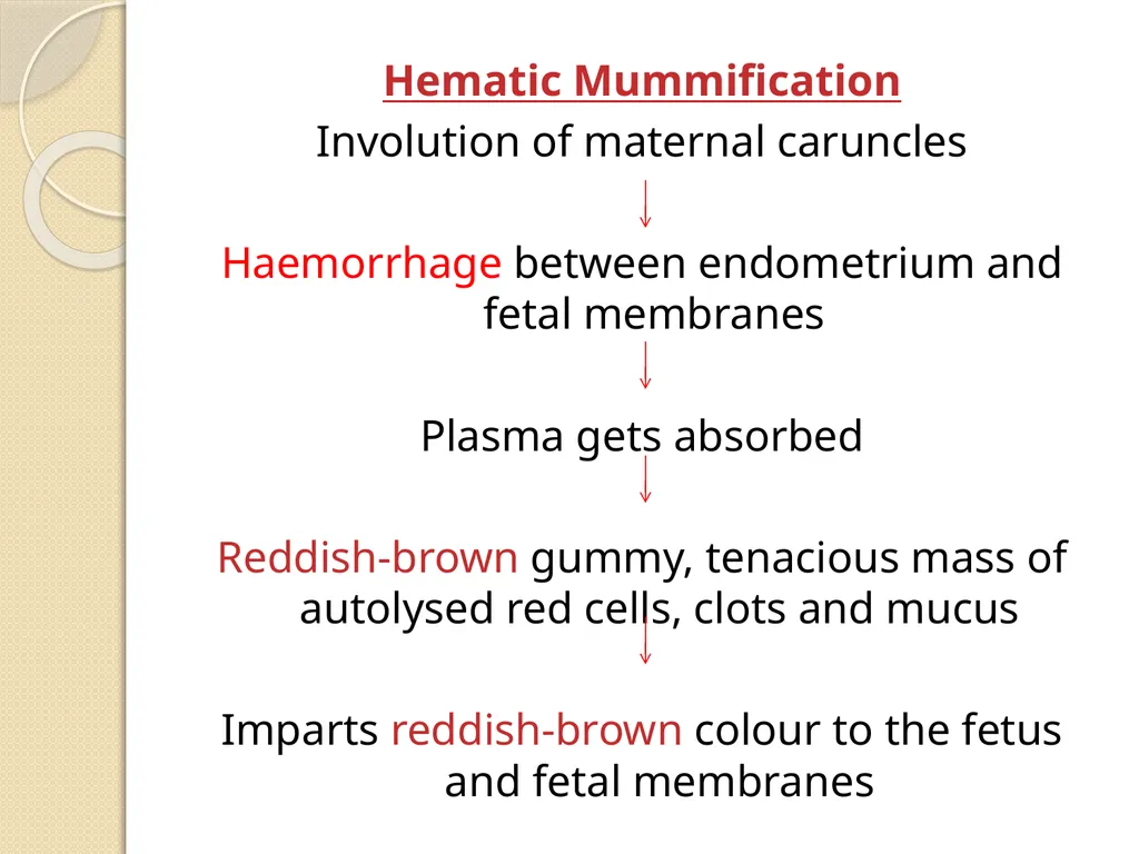 Fetal Mummification Dr. Bhavna Assistant Professor - slide 9 of 27