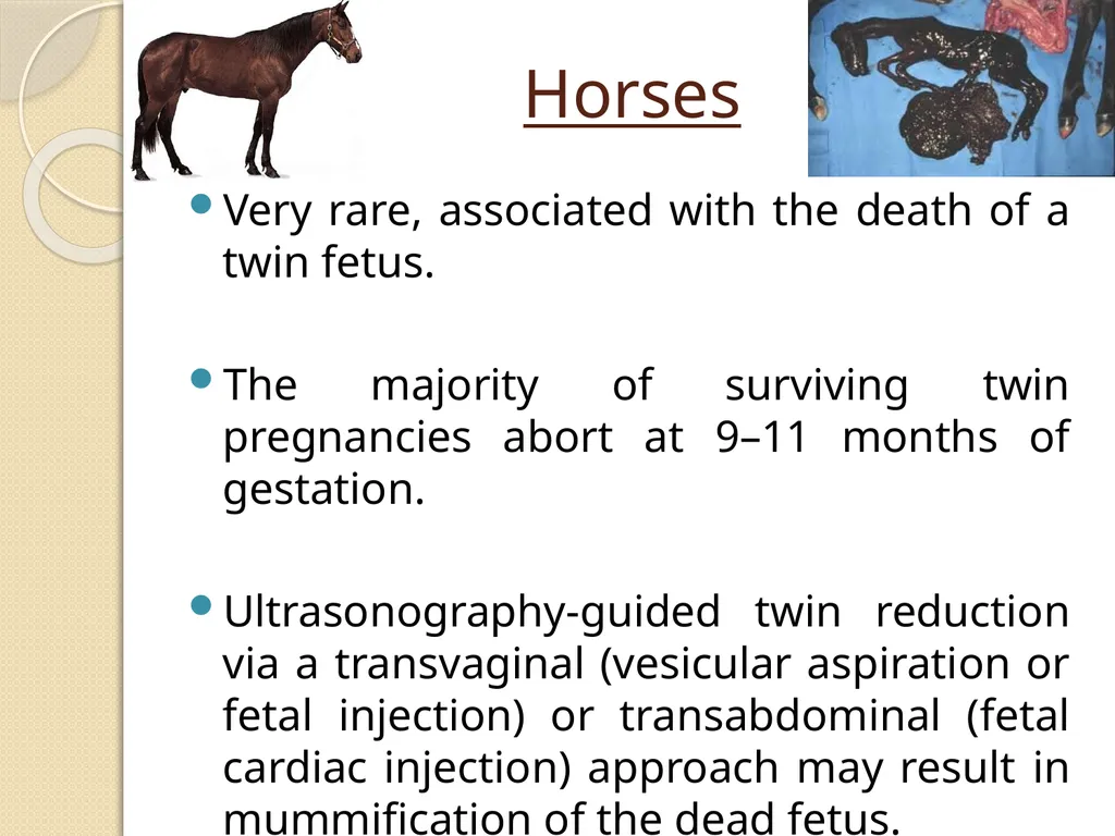 Fetal Mummification Dr. Bhavna Assistant Professor - slide 16 of 27