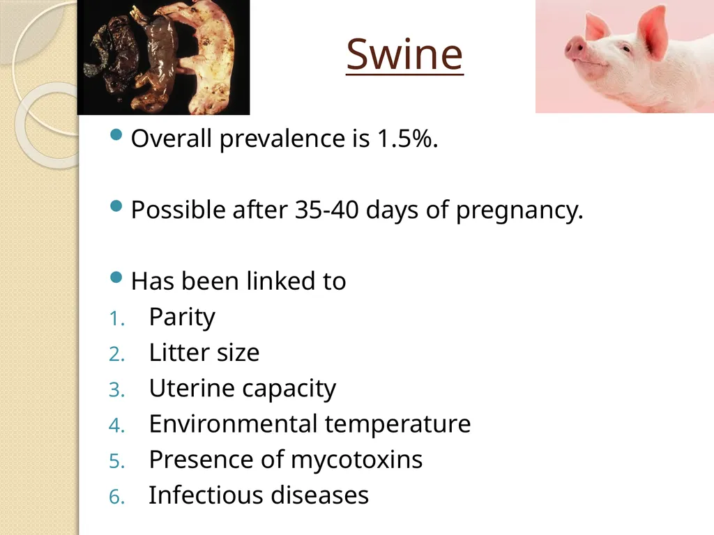 Fetal Mummification Dr. Bhavna Assistant Professor - slide 20 of 27