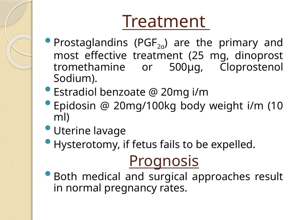 Fetal Mummification Dr. Bhavna Assistant Professor - slide 13 of 27
