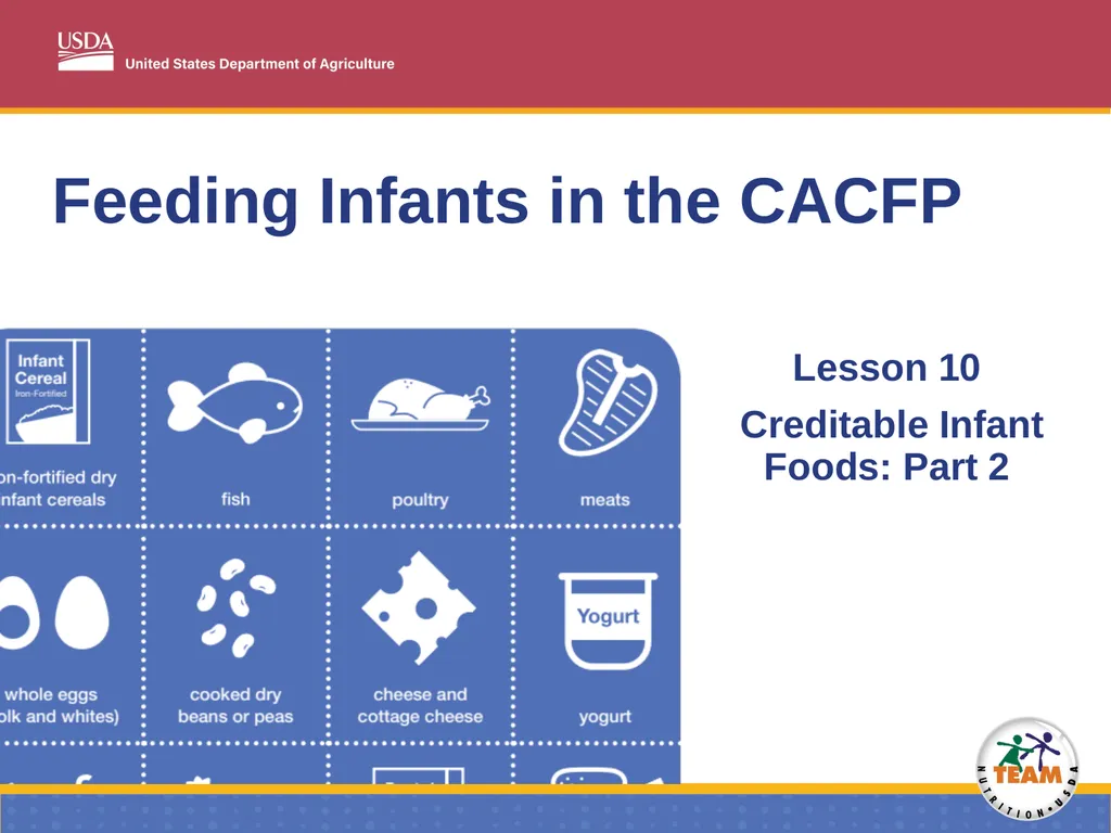Feeding Infants in the CACFP Lesson 10 Creditable - slide 1 of 17