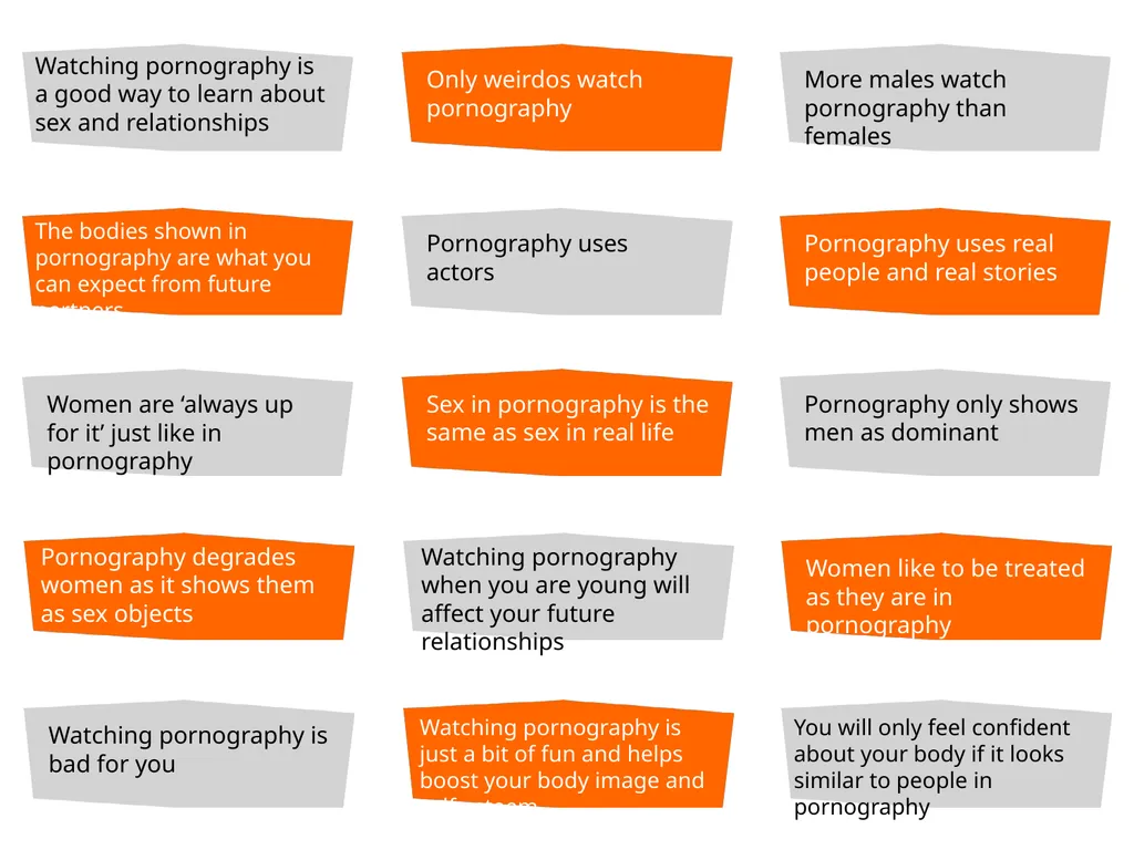 MYTH VS REALITY Online Pornography Lesson Plan - slide 12 of 21