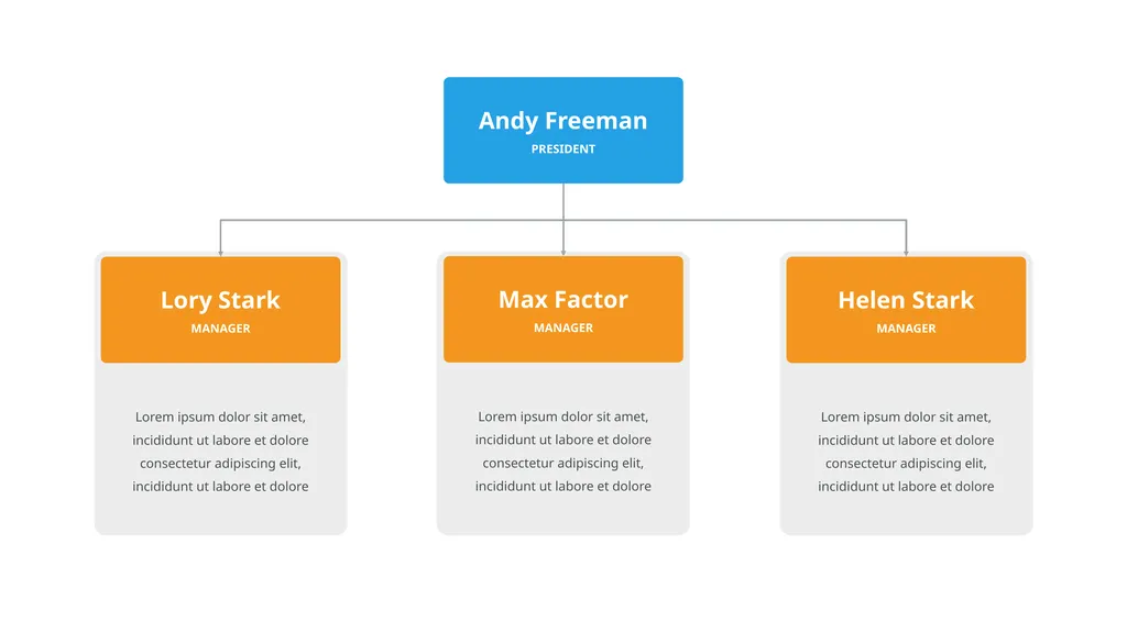 Our Company Structure Write Here Write Here Write - slide 30 of 66