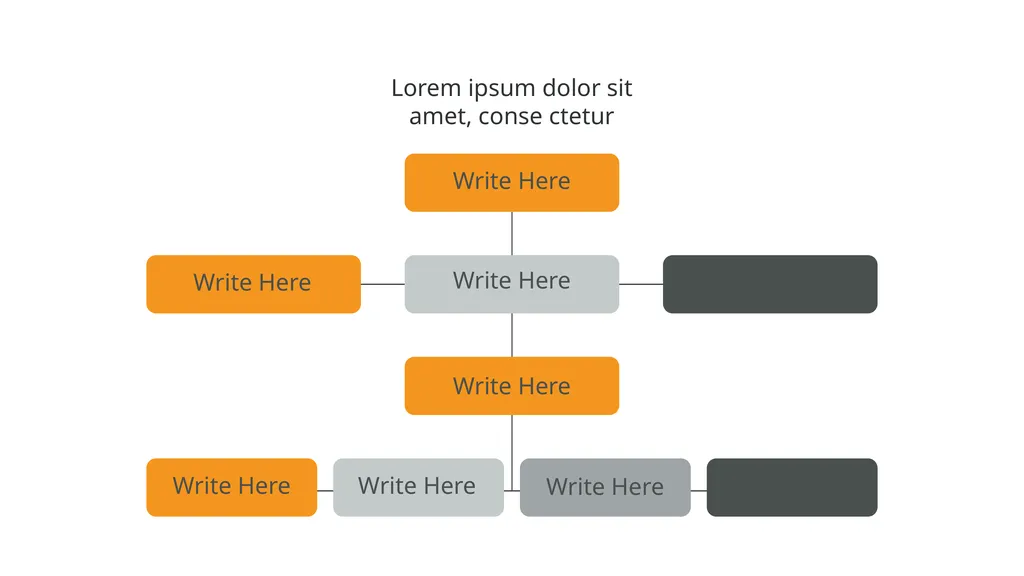 Our Company Structure Write Here Write Here Write - slide 47 of 66