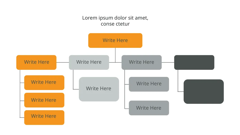 Our Company Structure Write Here Write Here Write - slide 48 of 66