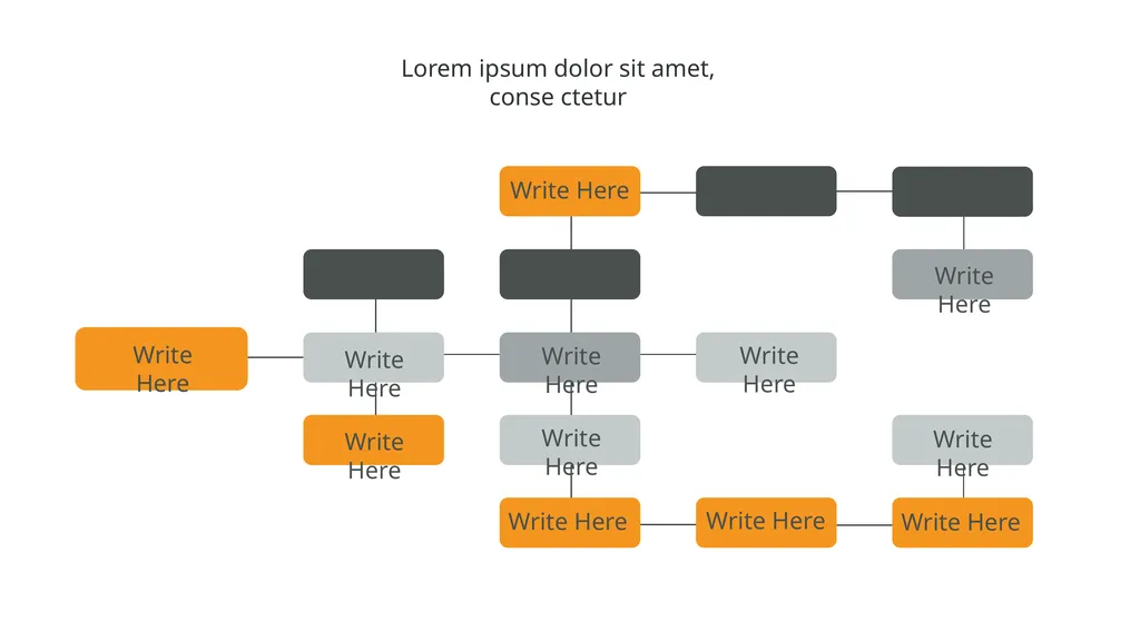 Our Company Structure Write Here Write Here Write - slide 49 of 66