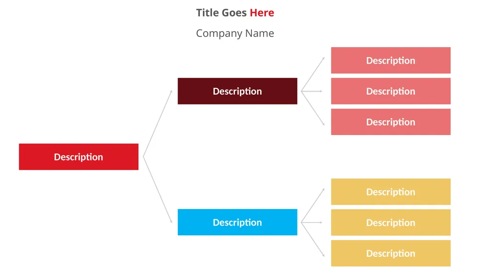 Our Company Structure Write Here Write Here Write - slide 5 of 66