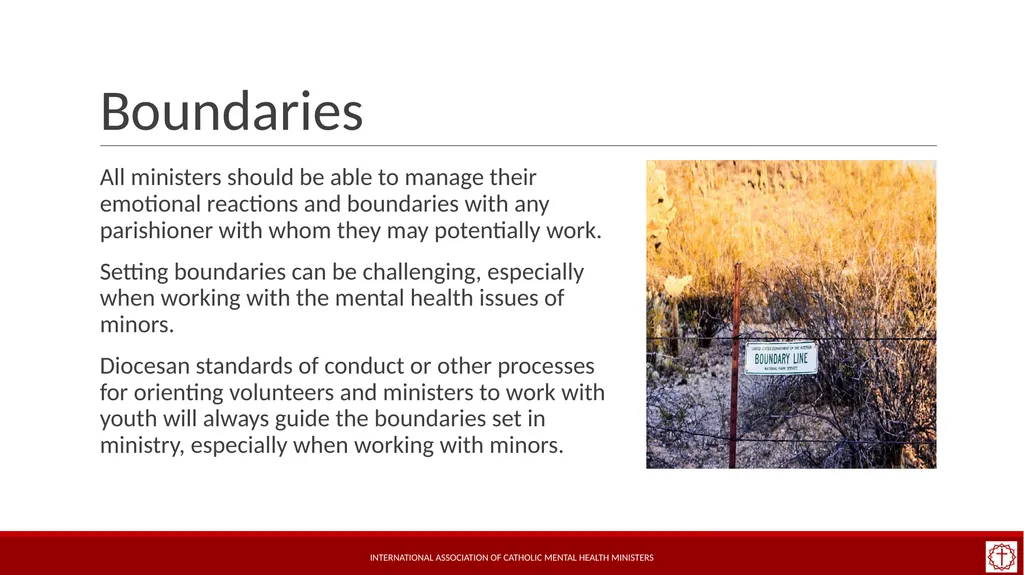 Basic Mental Health Literacy for Accompaniment - slide 9 of 50