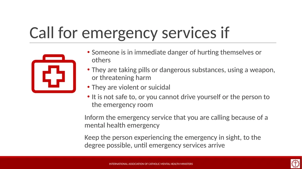 Basic Mental Health Literacy for Accompaniment - slide 15 of 50