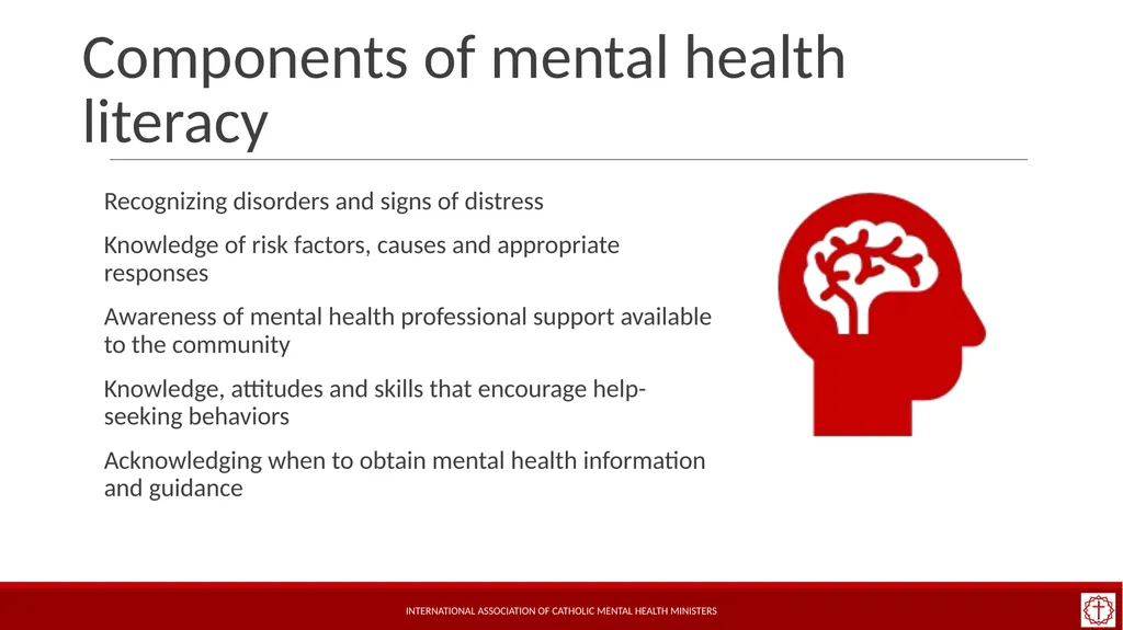 Basic Mental Health Literacy for Accompaniment - slide 3 of 50