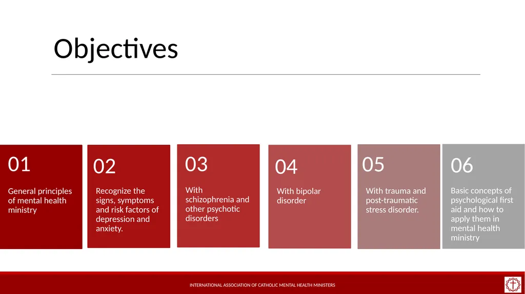Basic Mental Health Literacy for Accompaniment - slide 4 of 50
