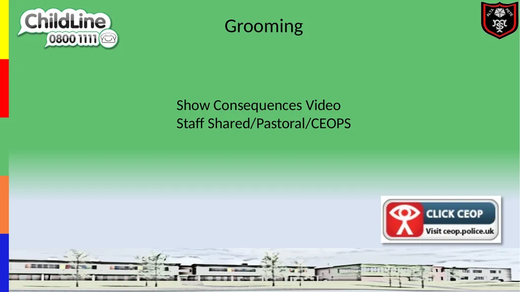 Grooming is a process used to prepare a child for - slide 4 of 4