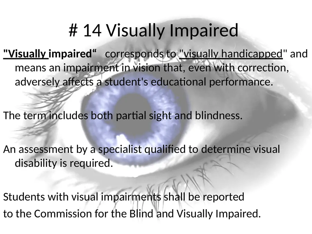Special Needs NJ, LLP Family Services: for - slide 28 of 39