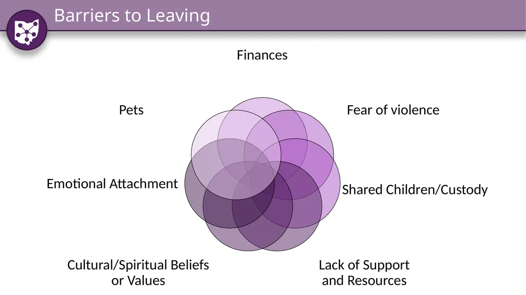 Identifying and Responding to Domestic Violence: - slide 12 of 34