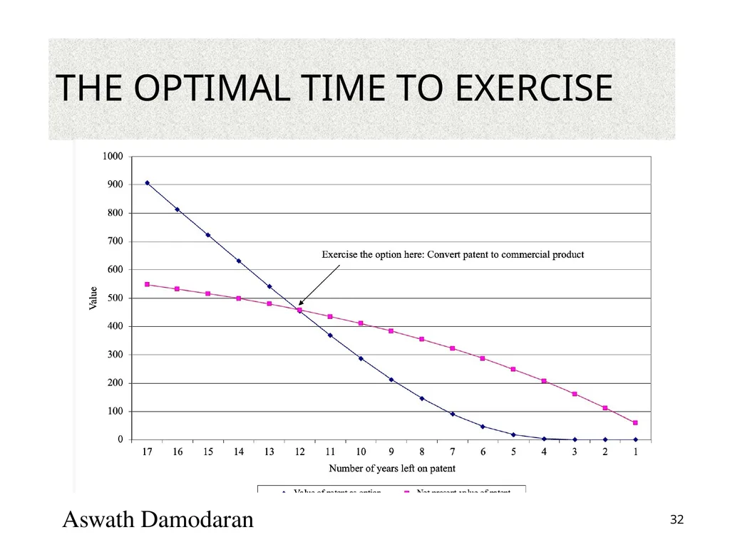 Valuation: Packet 3 Real Options, Acquisition - slide 32 of 159