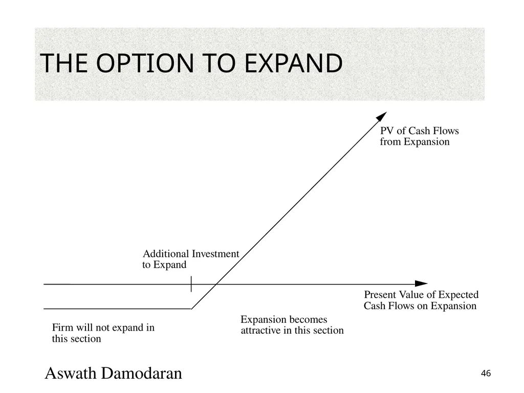 Valuation: Packet 3 Real Options, Acquisition - slide 46 of 159