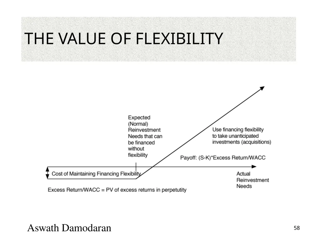 Valuation: Packet 3 Real Options, Acquisition - slide 58 of 159