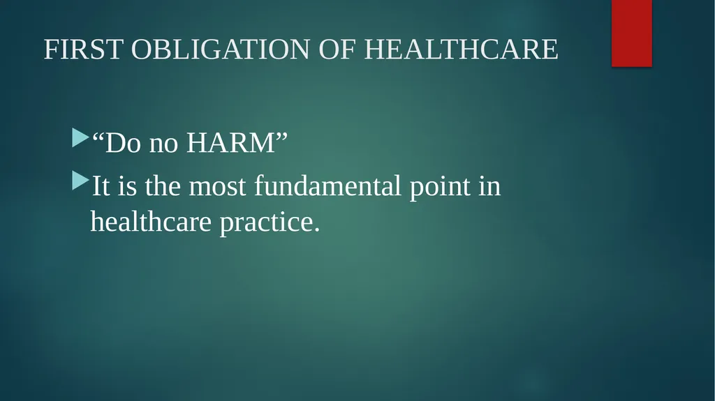 Meadowview Hospital RISK-MANAGEMENT PLAN RECENT - slide 3 of 26