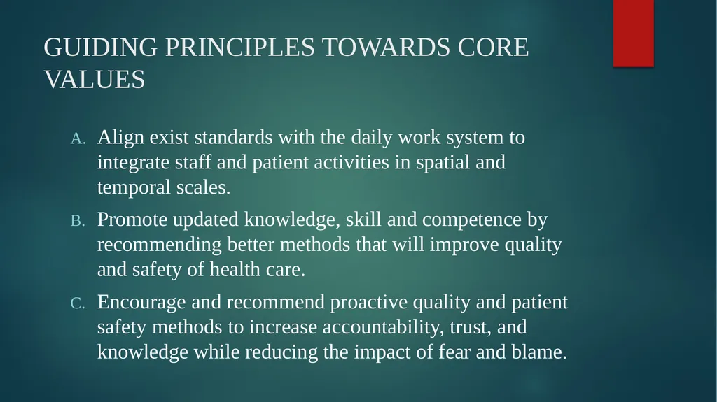 Meadowview Hospital RISK-MANAGEMENT PLAN RECENT - slide 6 of 26