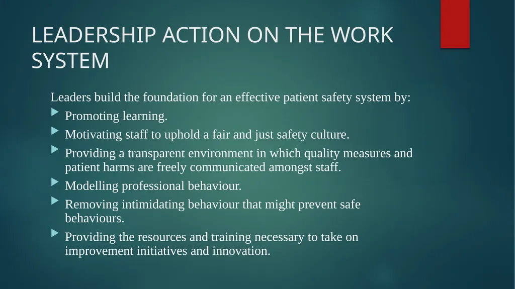 Meadowview Hospital RISK-MANAGEMENT PLAN RECENT - slide 13 of 26