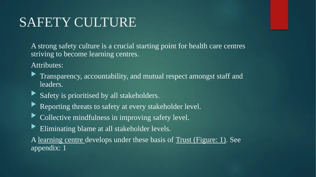 Meadowview Hospital RISK-MANAGEMENT PLAN RECENT - slide 16 of 26