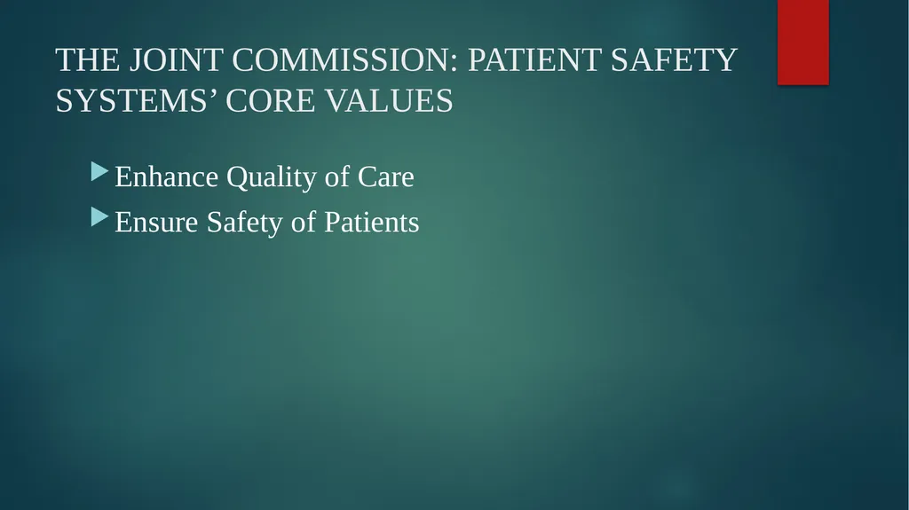 Meadowview Hospital RISK-MANAGEMENT PLAN RECENT - slide 4 of 26