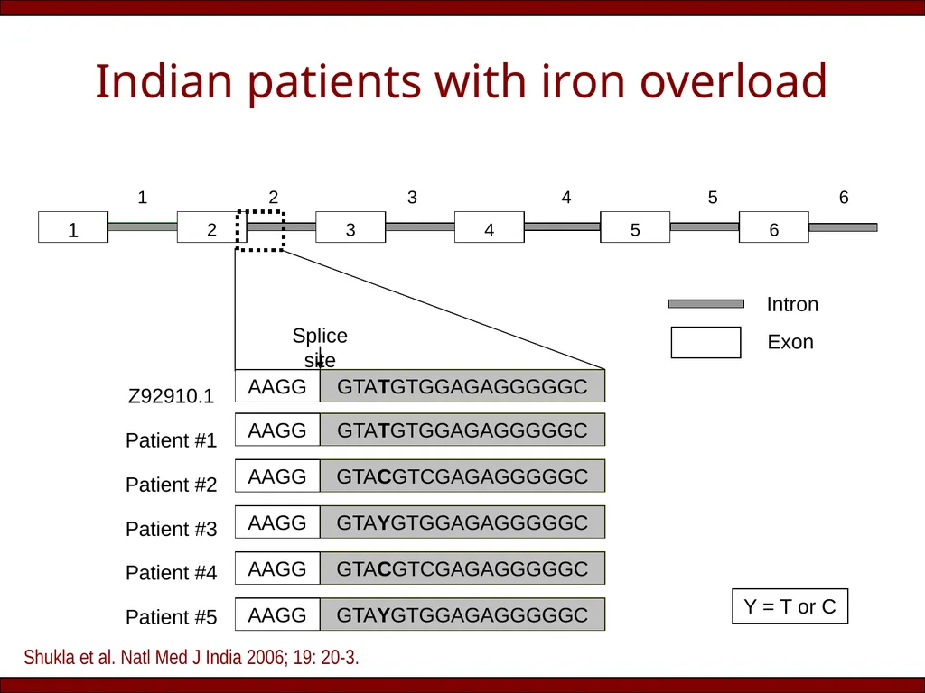 Does (HFE) hemochromatosis exist in India? Rakesh - slide 18 of 20