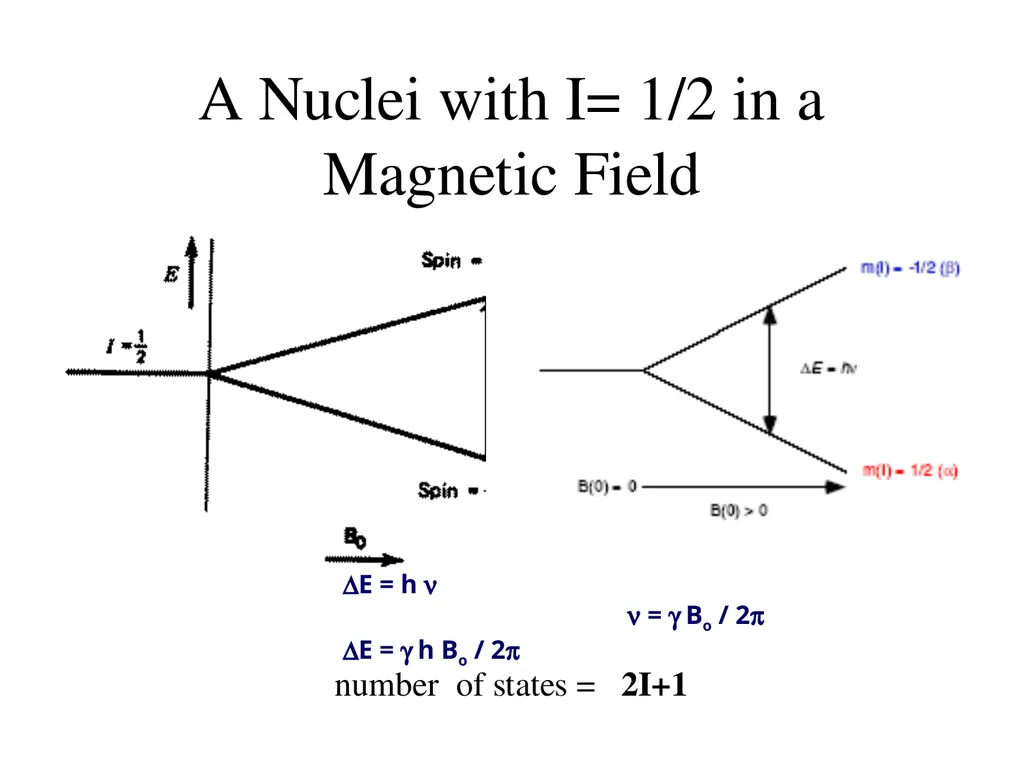 NMR spectroscopy Prepared by Dr. Upali Siriwardane - slide 26 of 50