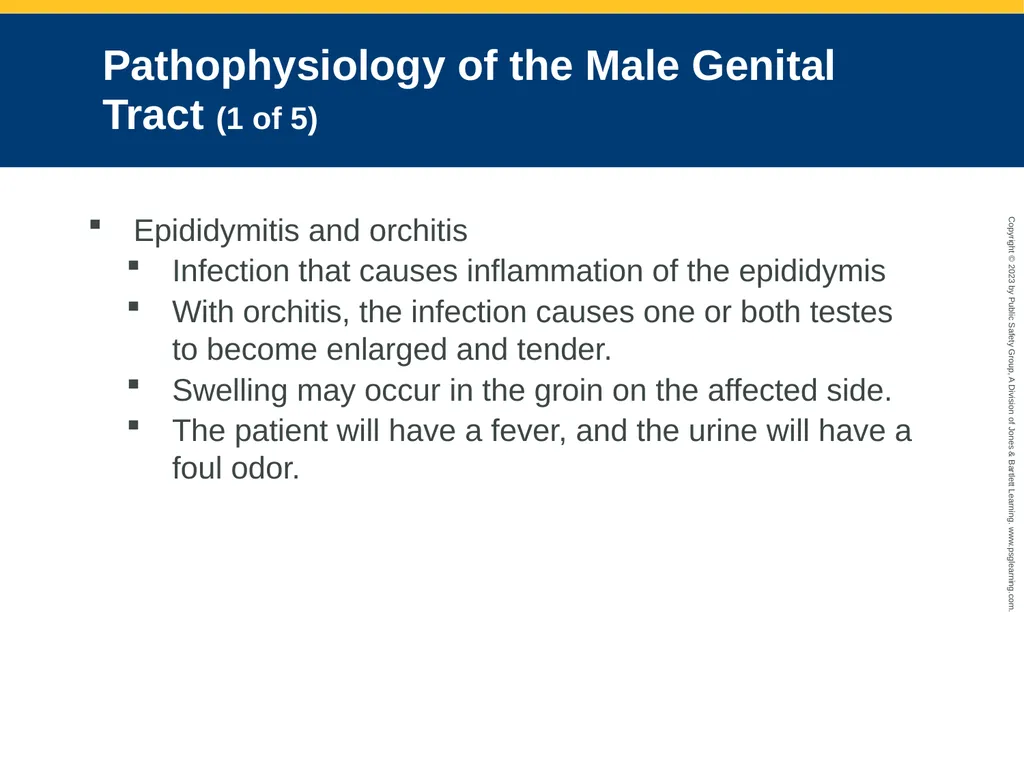 Gastrointestinal and Urologic Emergencies CHAPTER - slide 56 of 89