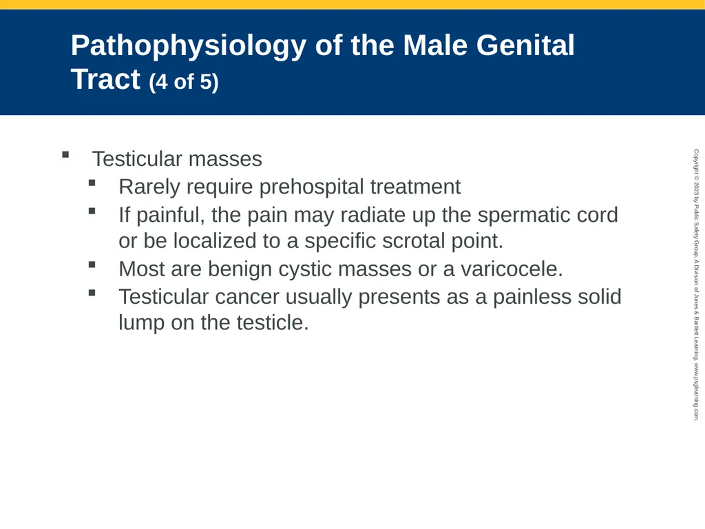 Gastrointestinal and Urologic Emergencies CHAPTER - slide 59 of 89