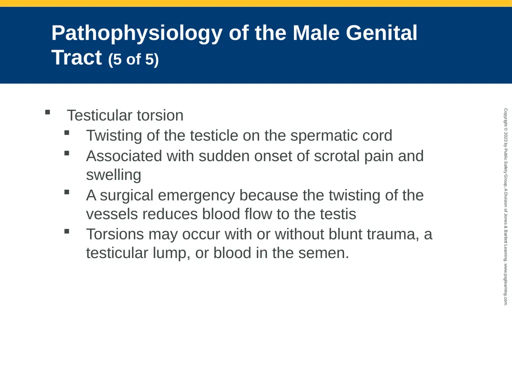 Gastrointestinal and Urologic Emergencies CHAPTER - slide 60 of 89