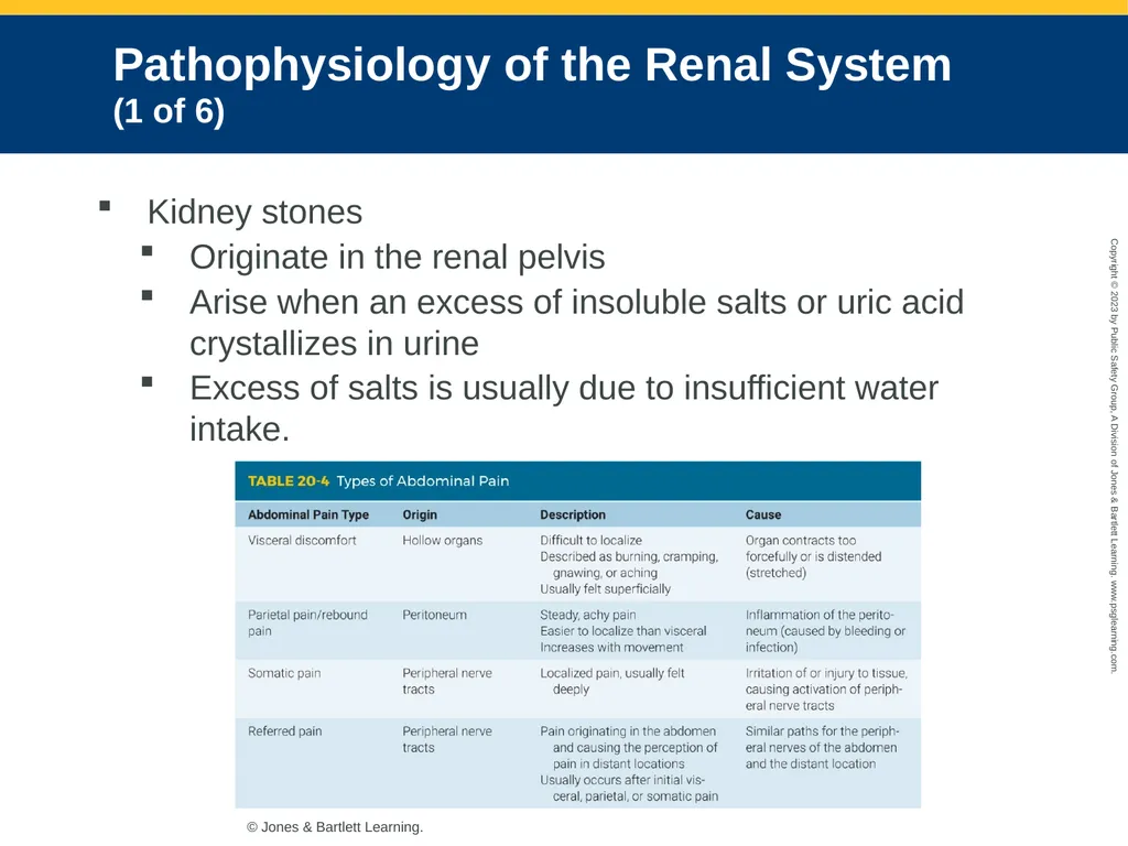 Gastrointestinal and Urologic Emergencies CHAPTER - slide 45 of 89