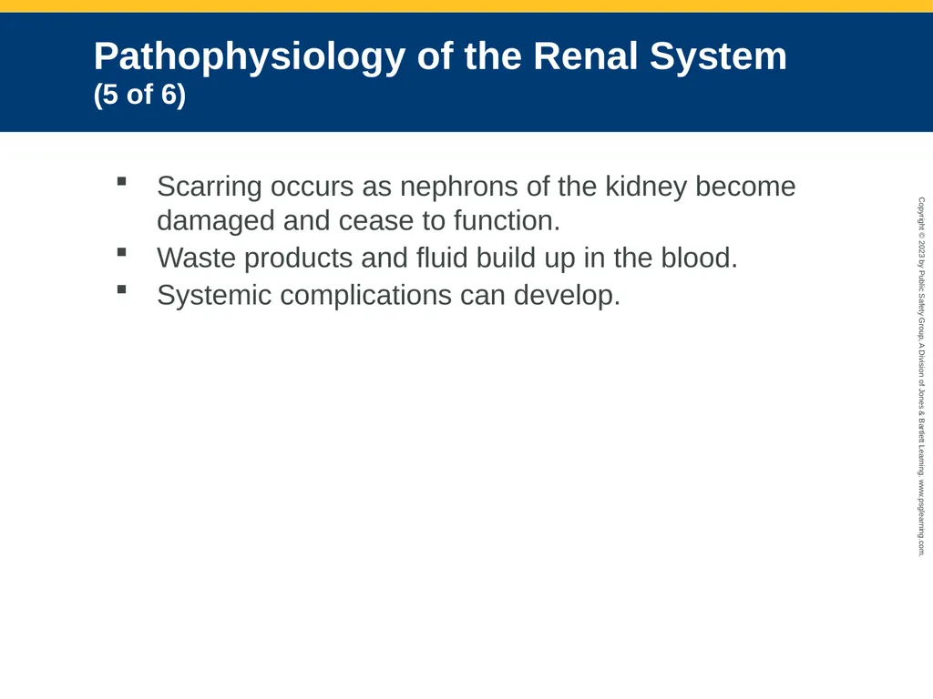 Gastrointestinal and Urologic Emergencies CHAPTER - slide 49 of 89