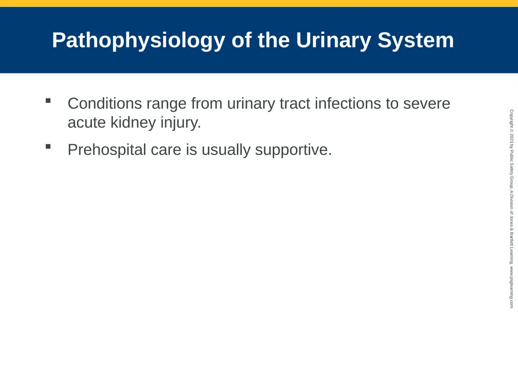 Gastrointestinal and Urologic Emergencies CHAPTER - slide 42 of 89