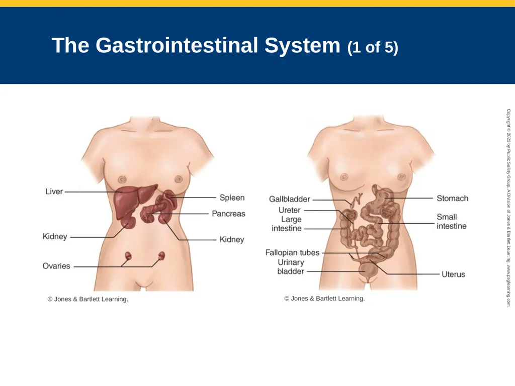 Gastrointestinal and Urologic Emergencies CHAPTER - slide 8 of 89