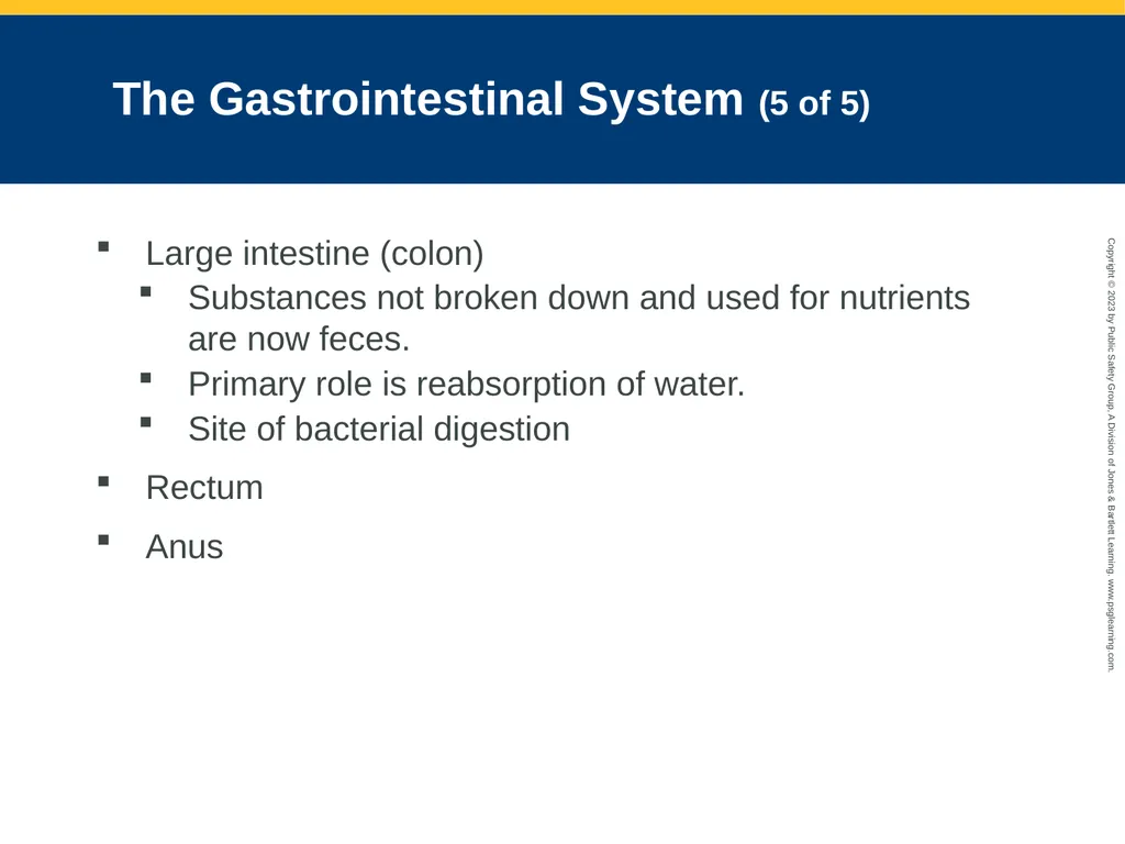 Gastrointestinal and Urologic Emergencies CHAPTER - slide 12 of 89
