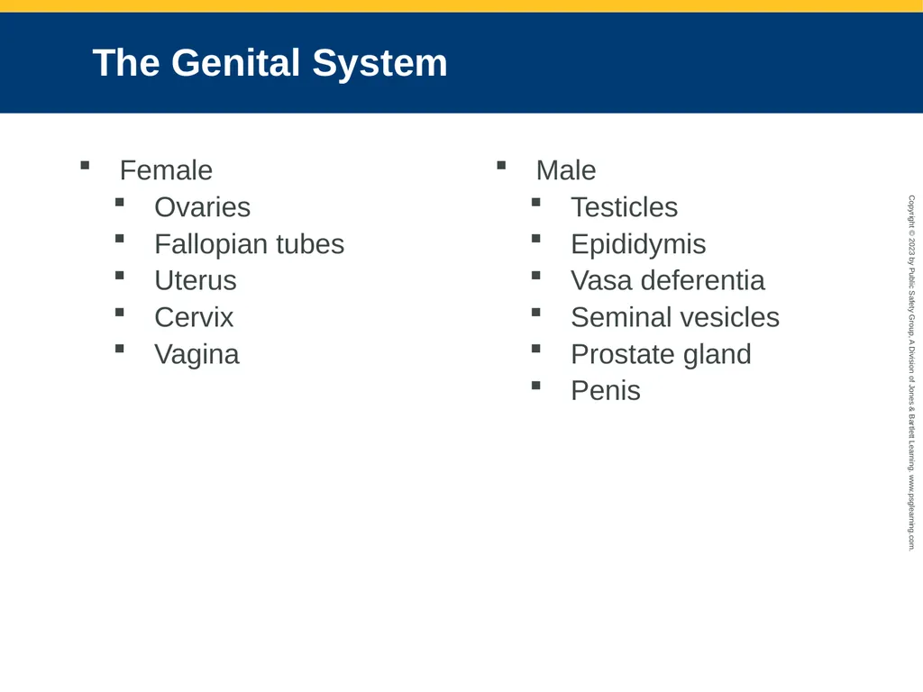Gastrointestinal and Urologic Emergencies CHAPTER - slide 14 of 89