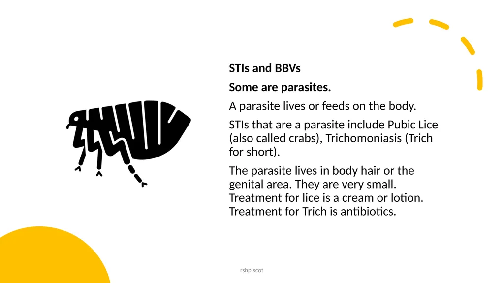 About Sexually Transmitted Infections (STIs) and - slide 8 of 40