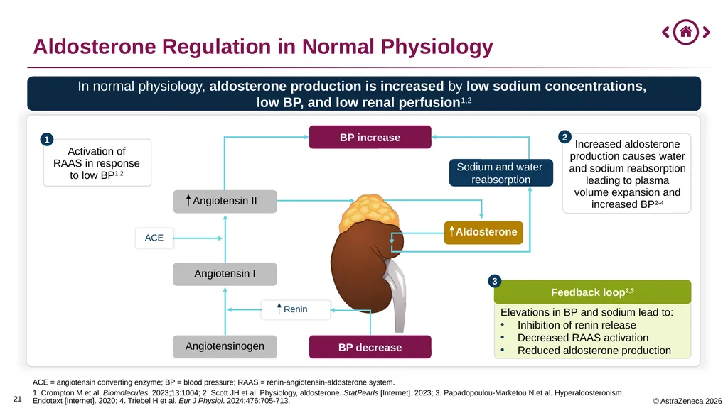 0 Important Information for Health Care Providers - slide 21 of 32